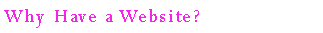 Text Box: Why Have a Website?