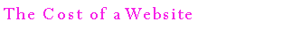 Text Box: The Cost of a Website
